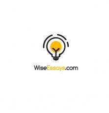 WiseEssays.com Review